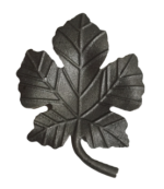 CS6124_Grape_Leaf_B1-Clear-e1593874882136.png