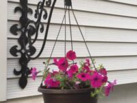 Sign & Plant Hangers