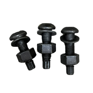 Torsional Shear Bolts