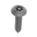 Torx-Screw-Qtr-in-x-2-Edited-e1593722413723.png